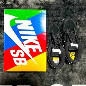 Nice shoes size 9.5 gnarhunter dunk sb